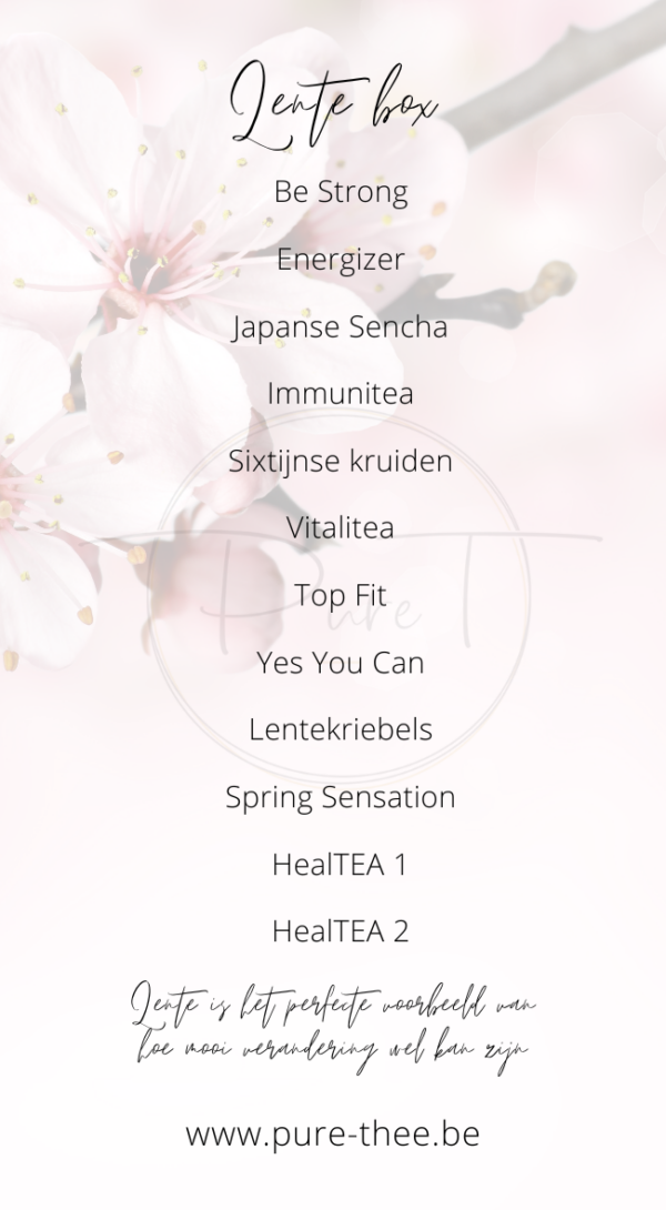 Lente box